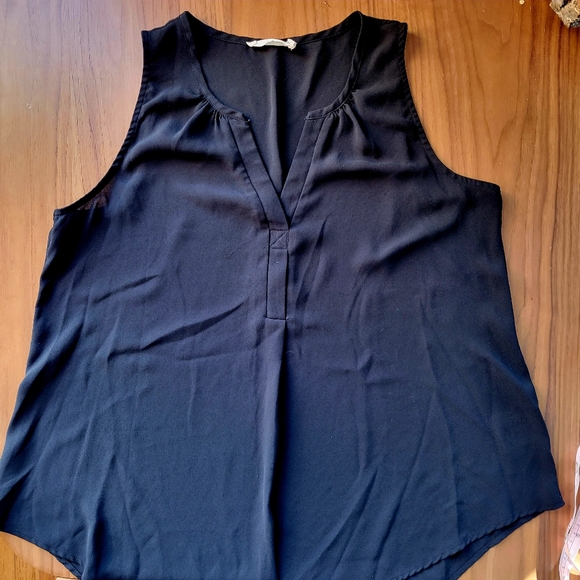 Black Sheer V-Neck Sleeveless Blouse - Picture 2 of 4